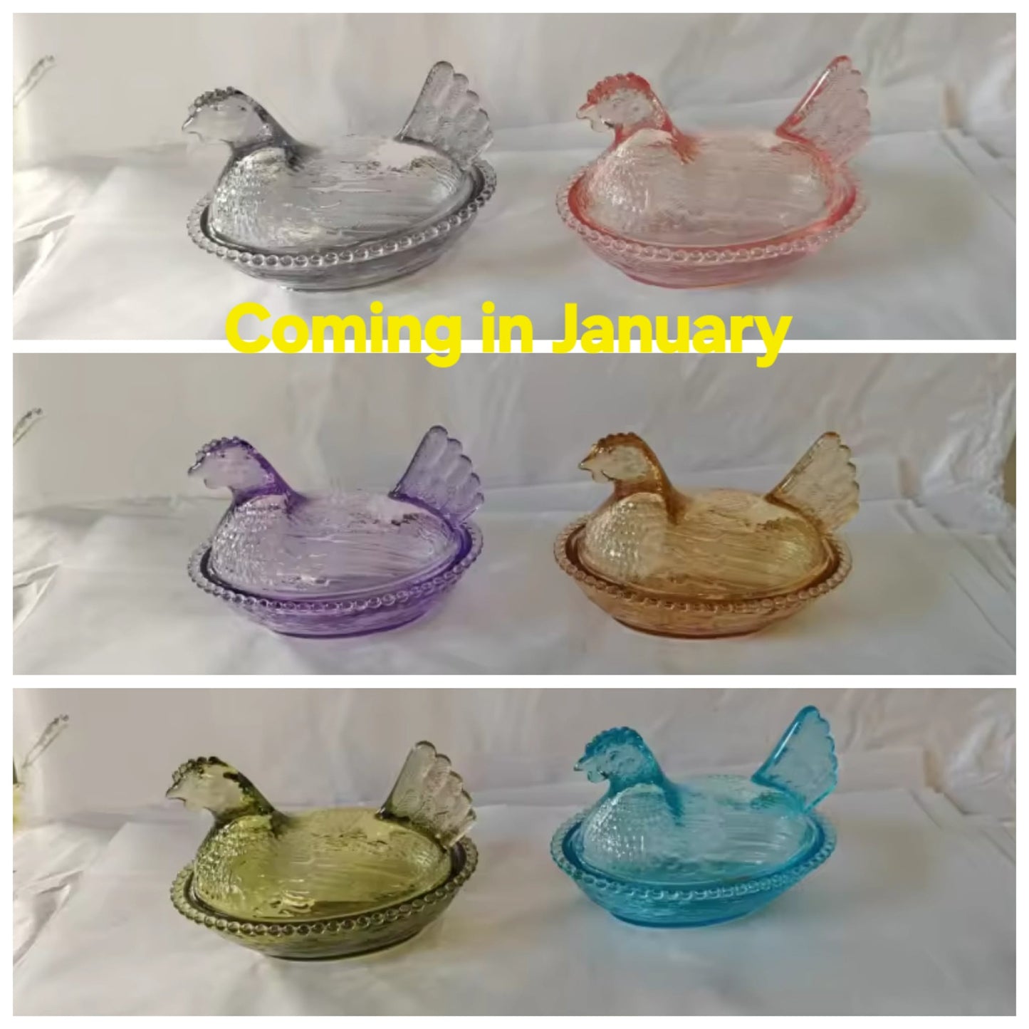 New Hens Coming off the ship and on a truck